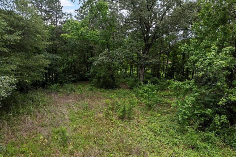 207 Blue Lake Drive Huffman, TX 77336