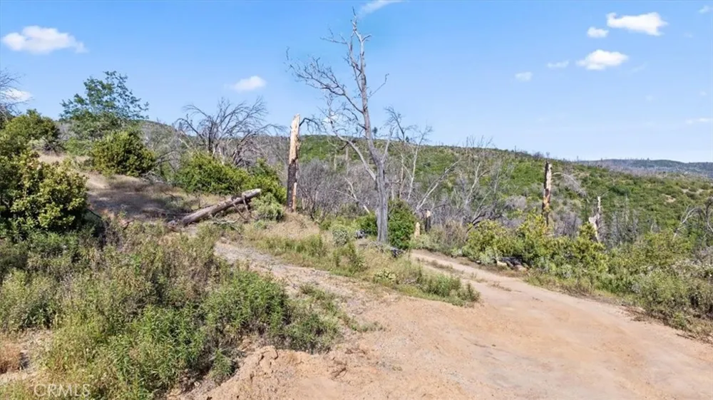 Eckards Berry Creek, CA 95916