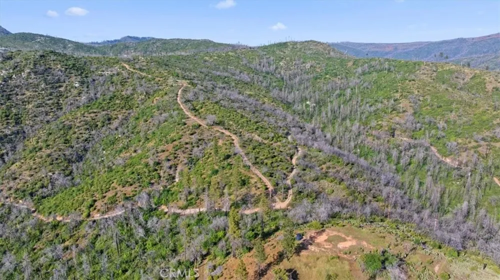 Eckards Berry Creek, CA 95916