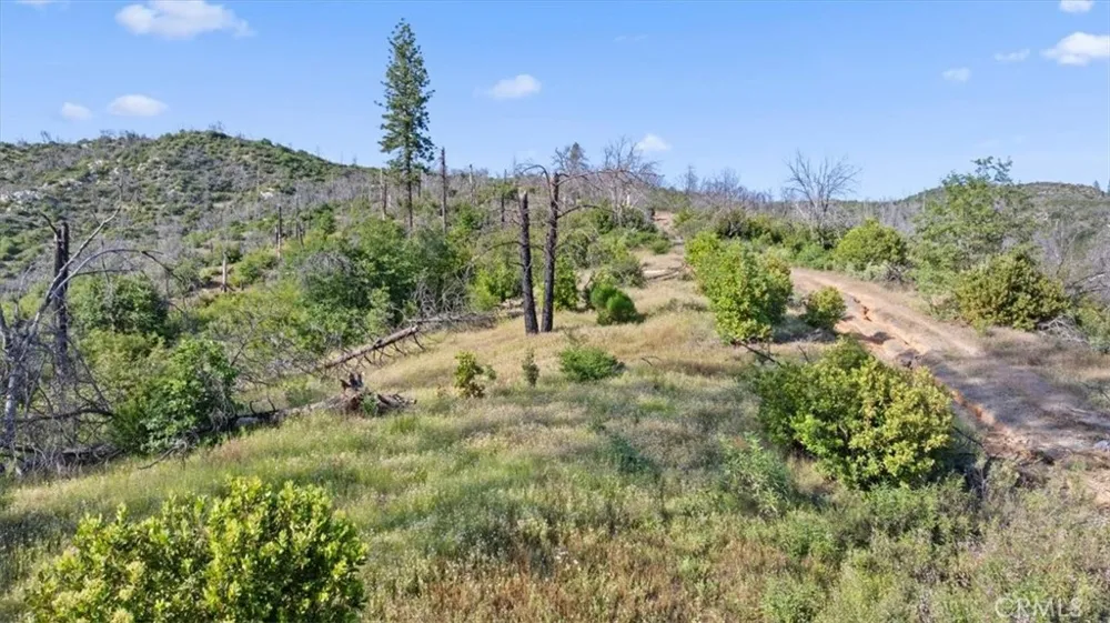 Eckards Berry Creek, CA 95916