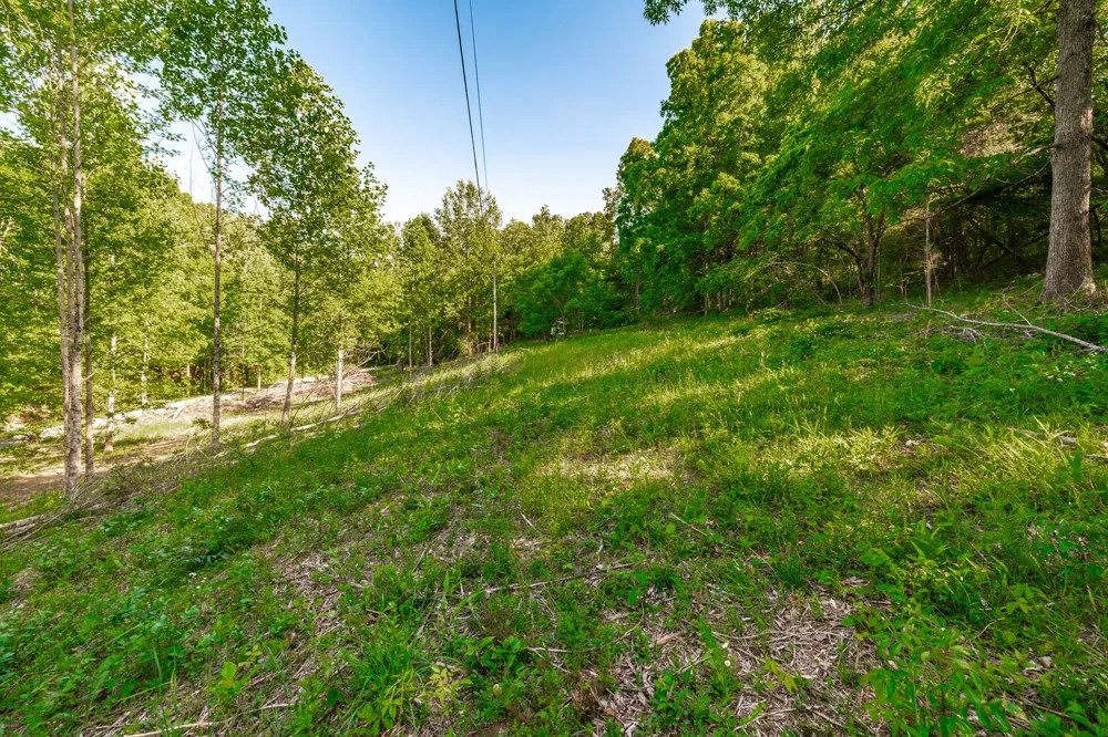 1170 James Brown Rd Westmoreland, TN 37186