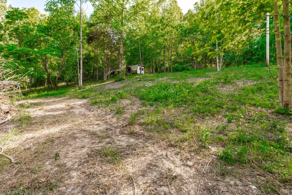 1170 James Brown Rd Westmoreland, TN 37186