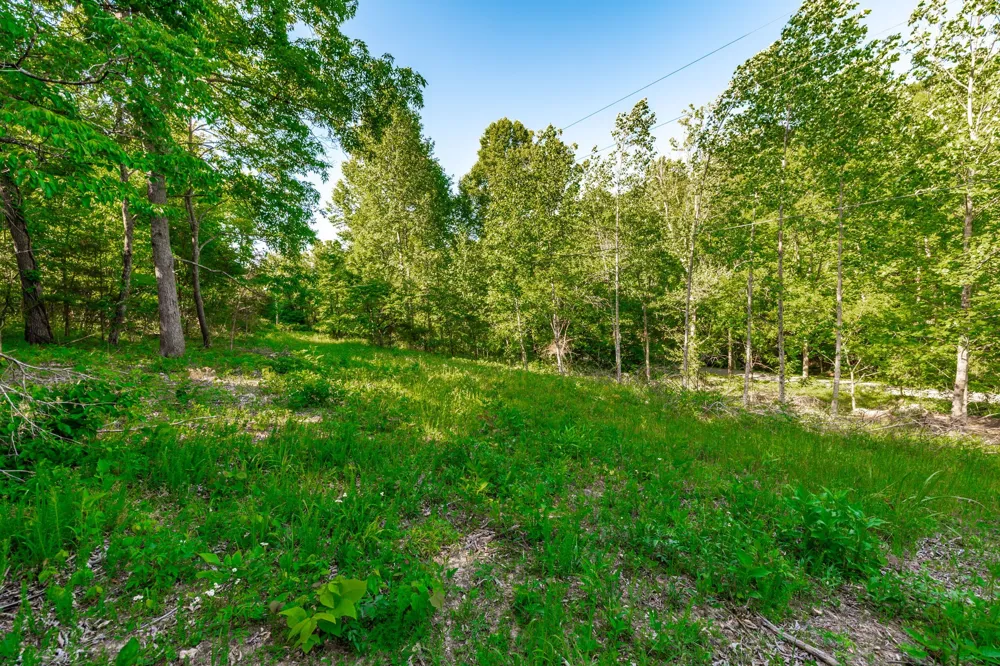 1170 James Brown Rd Westmoreland, TN 37186