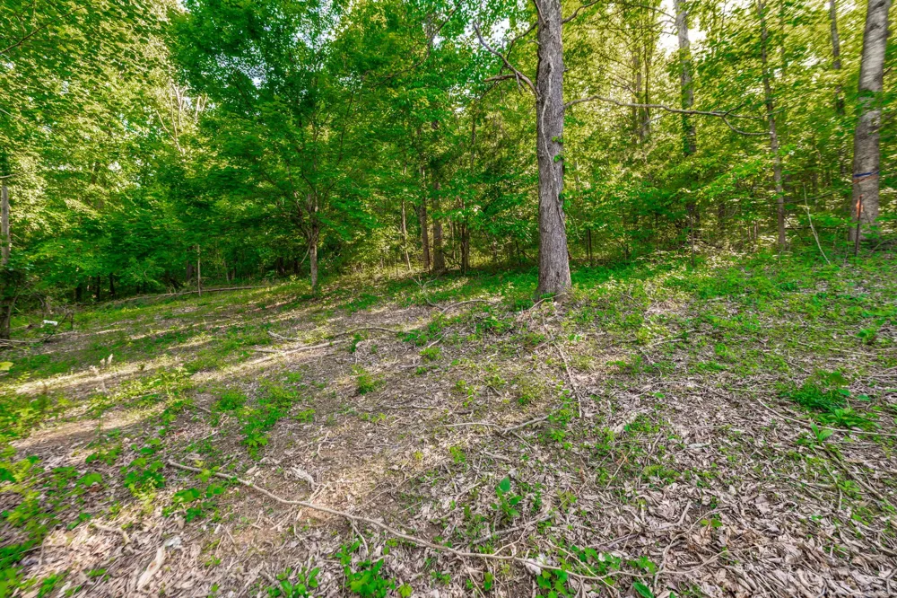 1170 James Brown Rd Westmoreland, TN 37186
