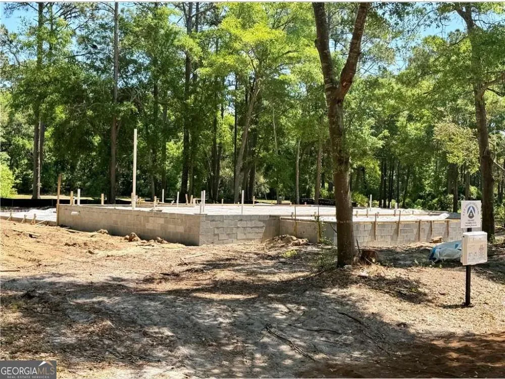 1499 Sapelo Park DR NE Townsend, GA 31331