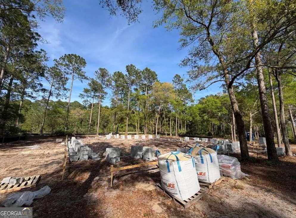 1499 Sapelo Park DR NE Townsend, GA 31331