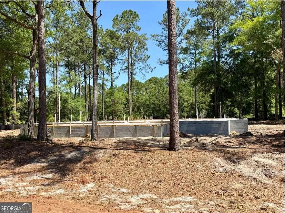 1499 Sapelo Park DR NE Townsend, GA 31331