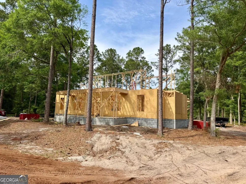 1499 Sapelo Park DR NE Townsend, GA 31331