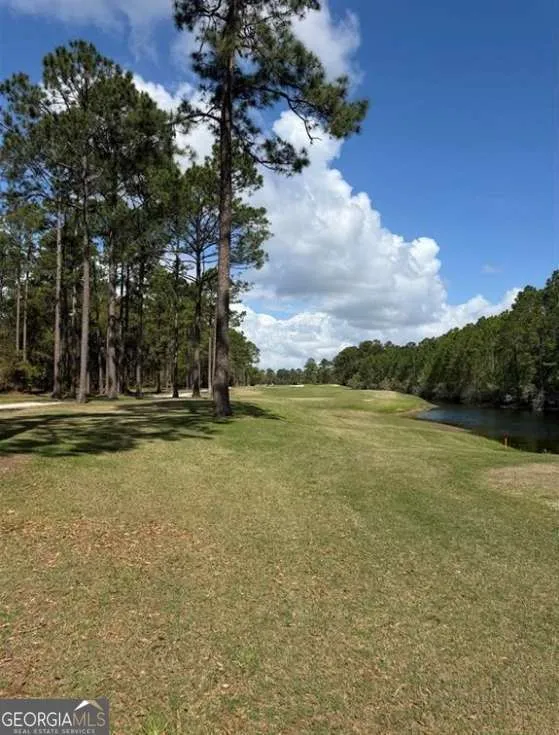 1499 Sapelo Park DR NE Townsend, GA 31331