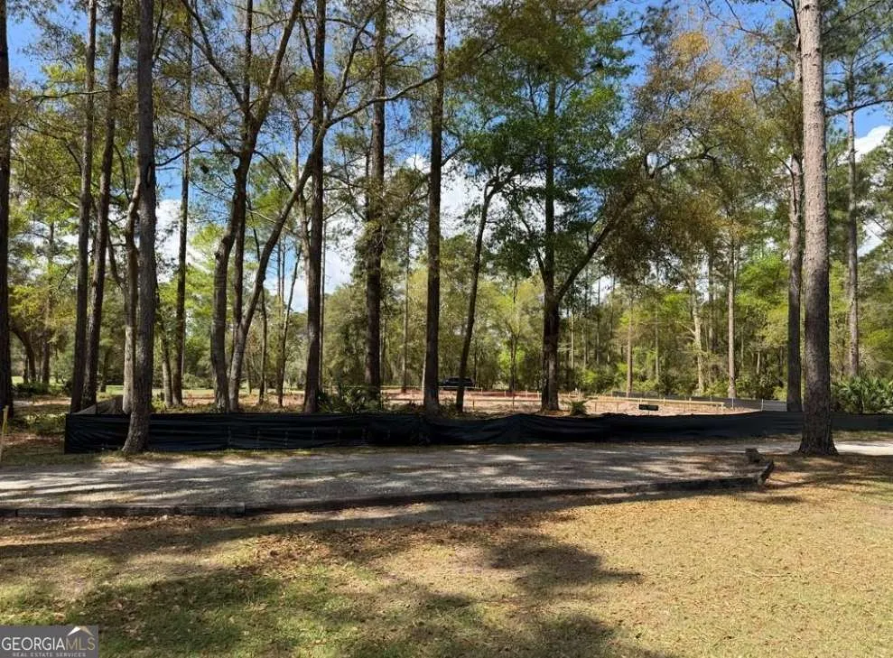 1499 Sapelo Park DR NE Townsend, GA 31331