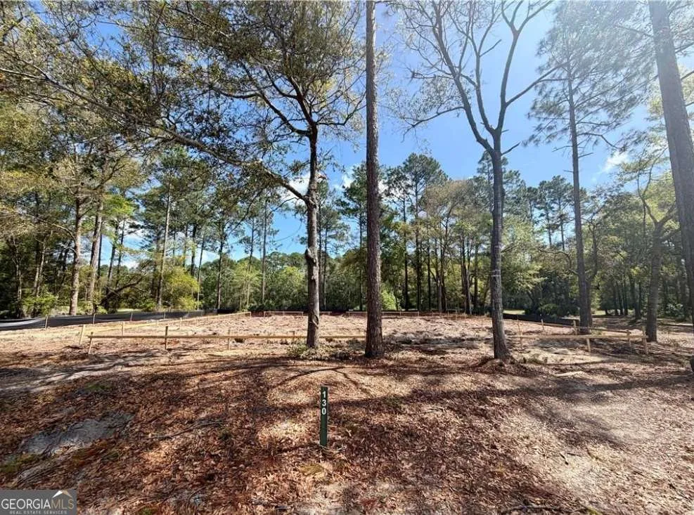 1499 Sapelo Park DR NE Townsend, GA 31331