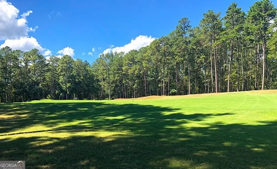 1580 Club DR Greensboro, GA 30642