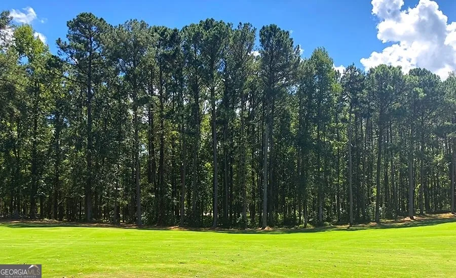 1580 Club DR Greensboro, GA 30642