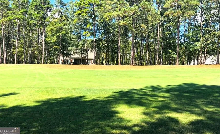1580 Club DR Greensboro, GA 30642