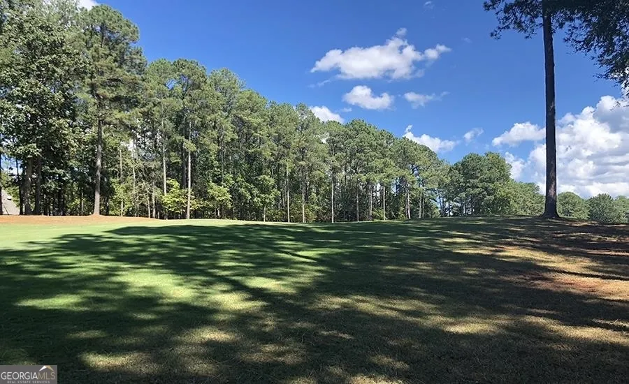 1580 Club DR Greensboro, GA 30642