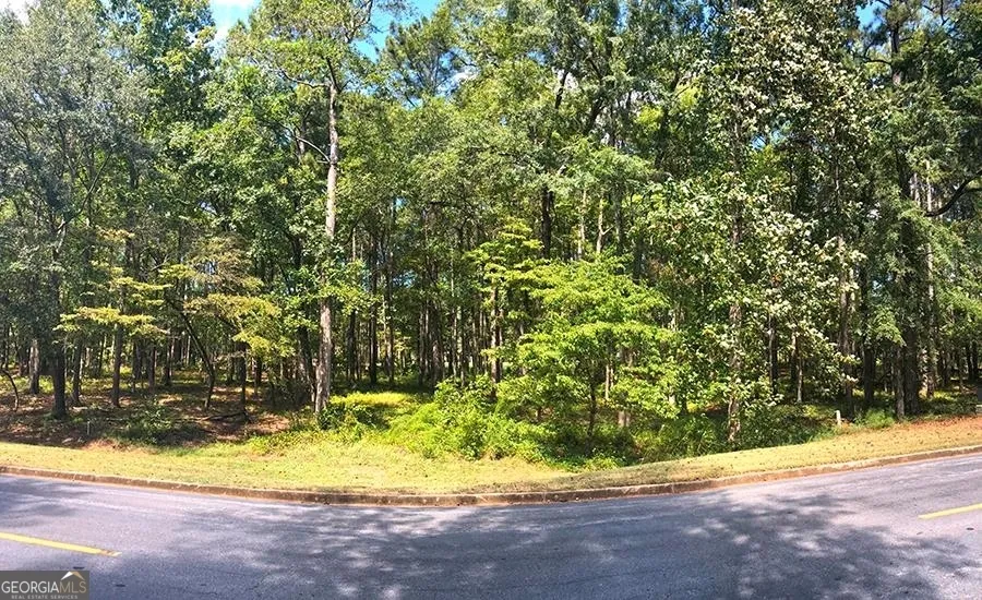 1580 Club DR Greensboro, GA 30642