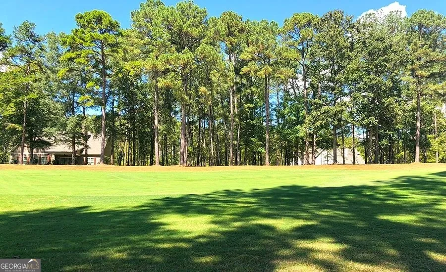 1580 Club DR Greensboro, GA 30642