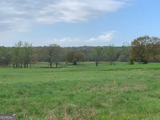 0 Veterans DR Danielsville, GA 30633