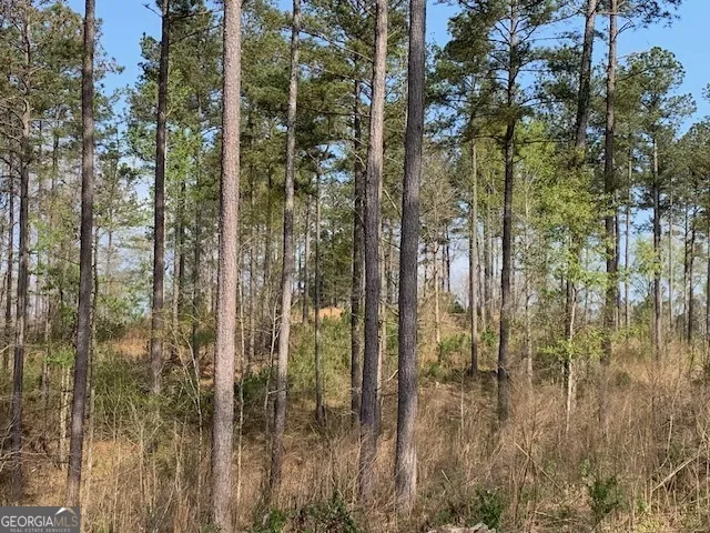 0 Veterans DR Danielsville, GA 30633
