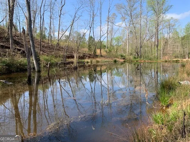 0 Veterans DR Danielsville, GA 30633