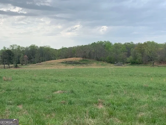 0 Veterans DR Danielsville, GA 30633