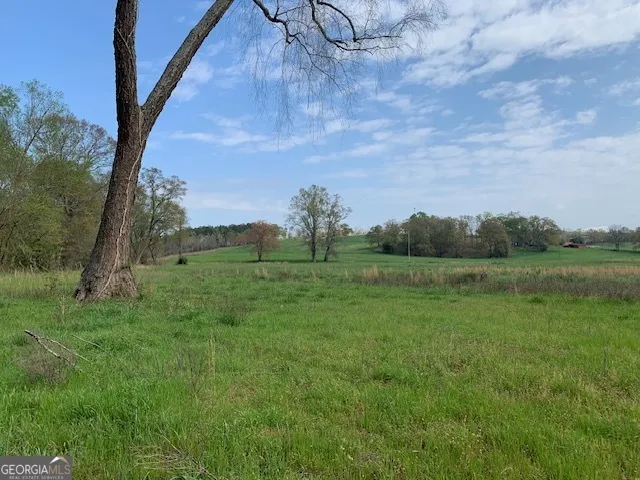 0 Veterans DR Danielsville, GA 30633