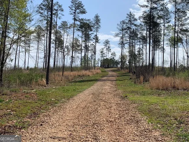 0 Veterans DR Danielsville, GA 30633