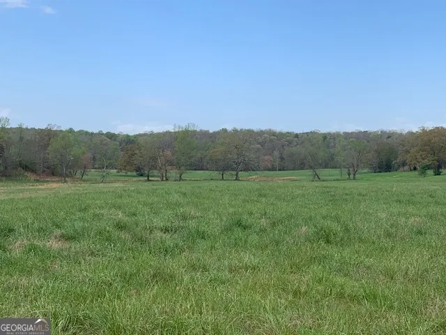 0 Veterans DR Danielsville, GA 30633
