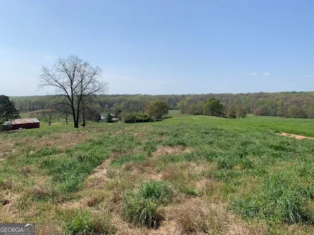 0 Veterans DR Danielsville, GA 30633