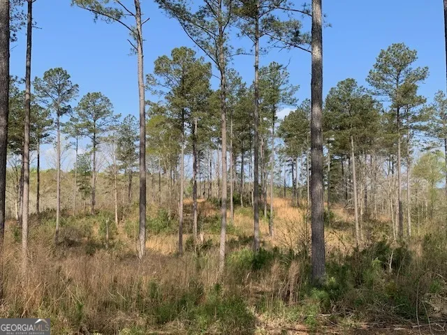 0 Veterans DR Danielsville, GA 30633