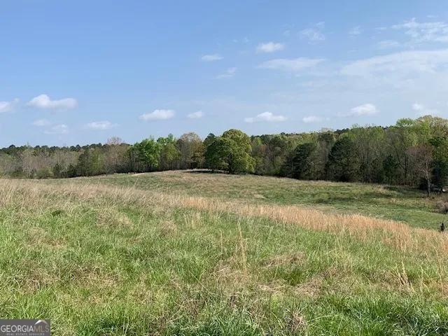 0 Veterans DR Danielsville, GA 30633