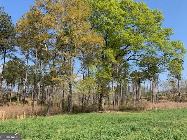 0 Veterans DR Danielsville, GA 30633
