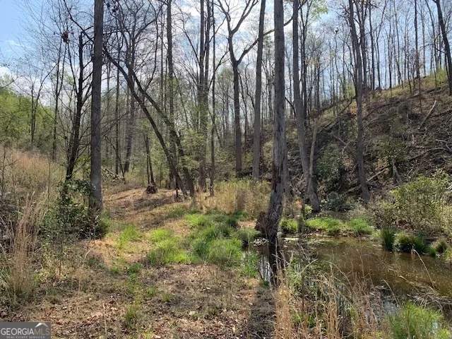 0 Veterans DR Danielsville, GA 30633