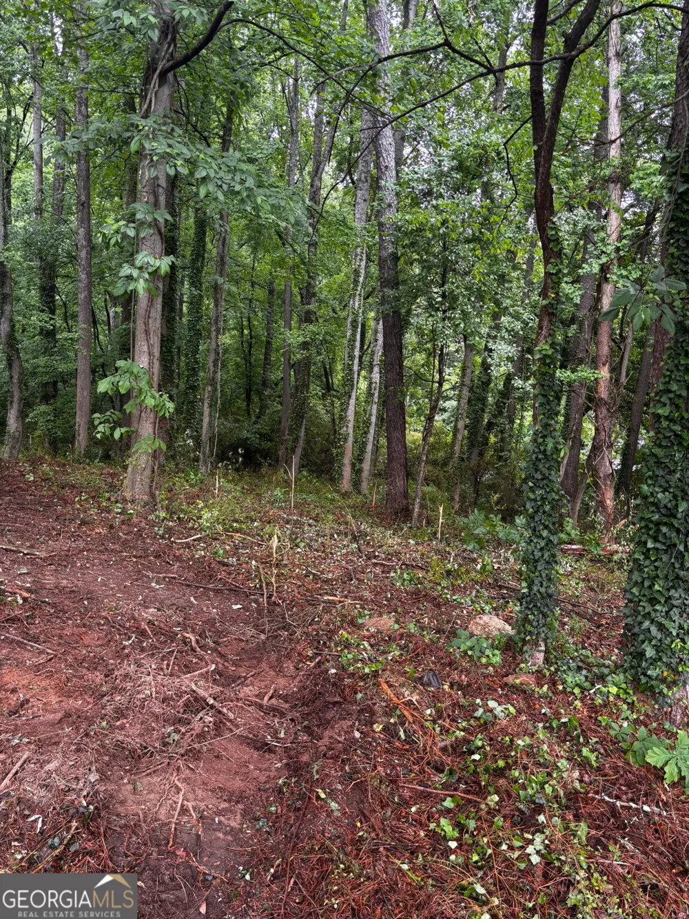 0 Ryman Ridge Dalton, GA 30720