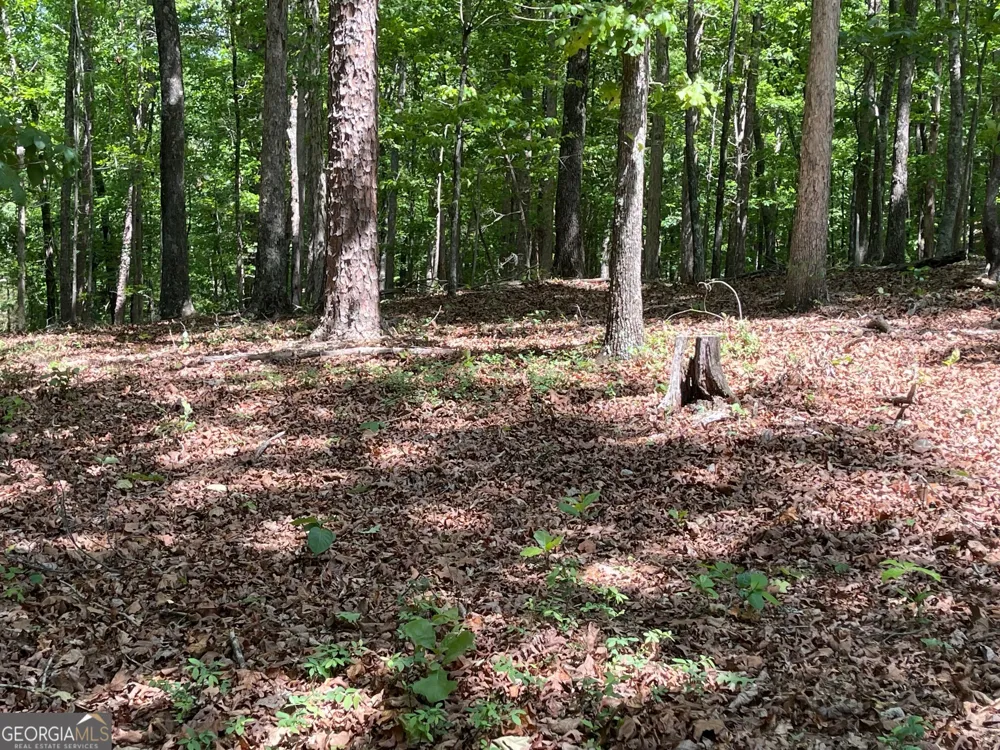 LOT 1 CHALCREST WAY Cave Spring, GA 30124