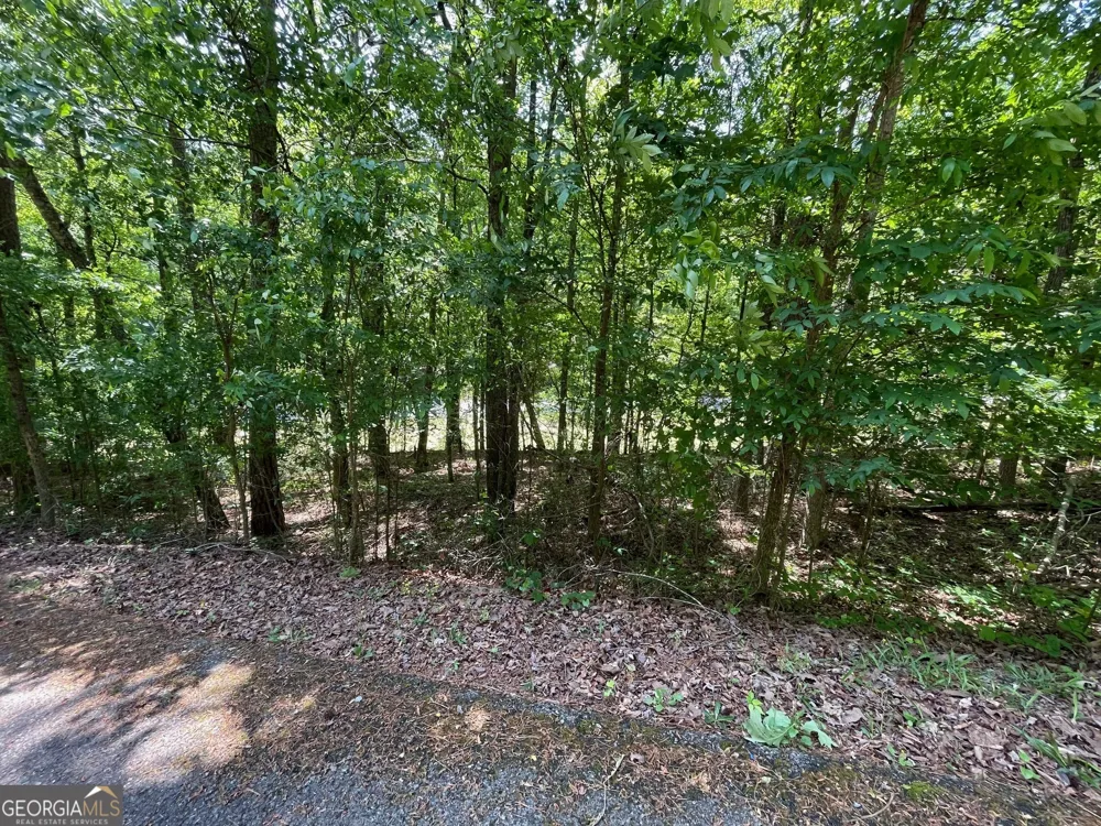 LOT 1 CHALCREST WAY Cave Spring, GA 30124