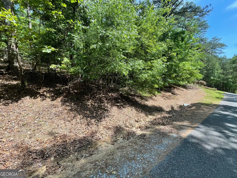 LOT 1 CHALCREST WAY Cave Spring, GA 30124