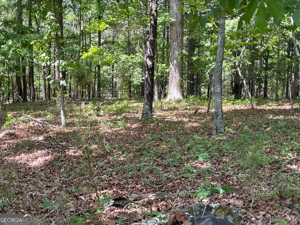 LOT 1 CHALCREST WAY Cave Spring, GA 30124