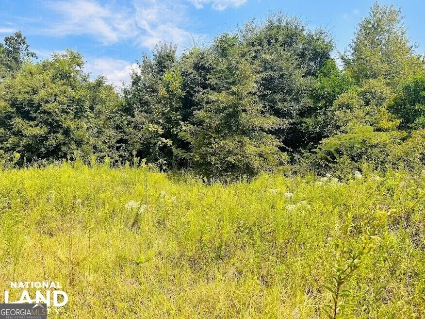1434 South Mock RD Albany, GA 31708