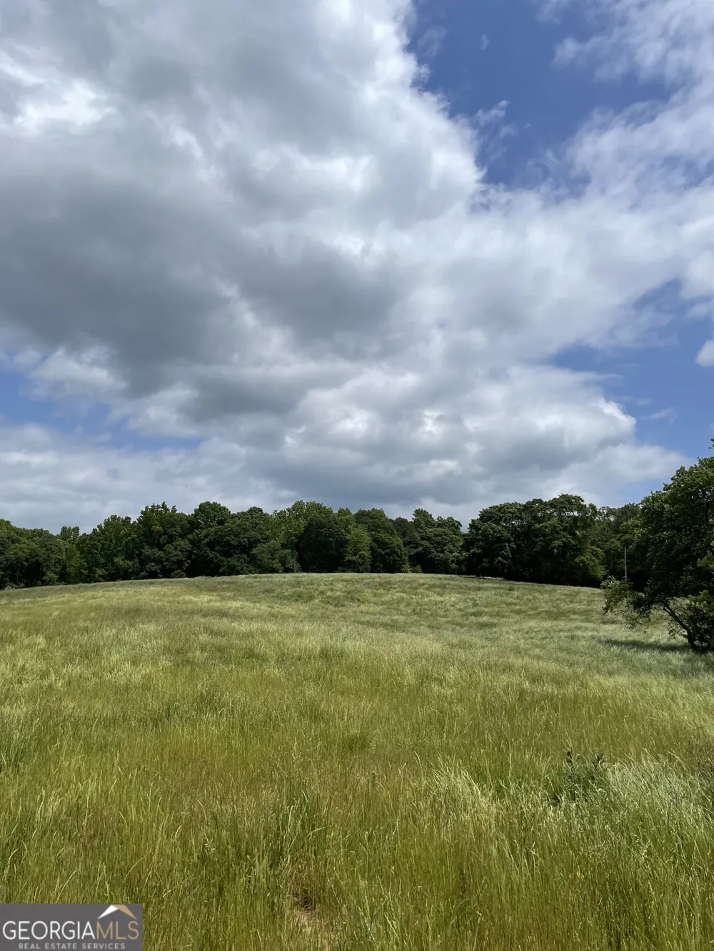 0 Quail Run RD Royston, GA 30662