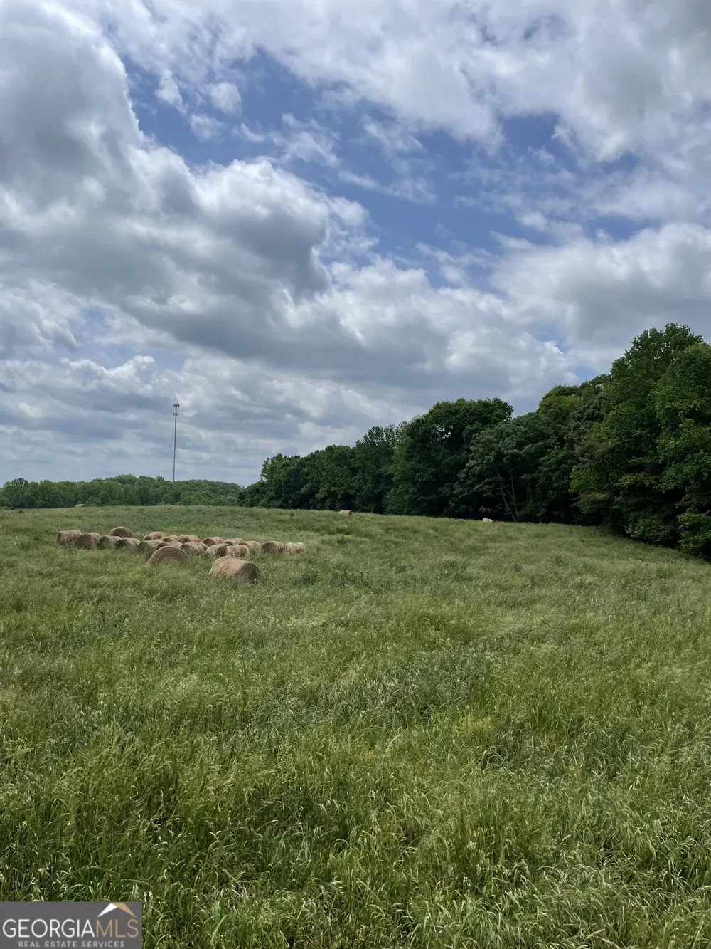 0 Quail Run RD Royston, GA 30662