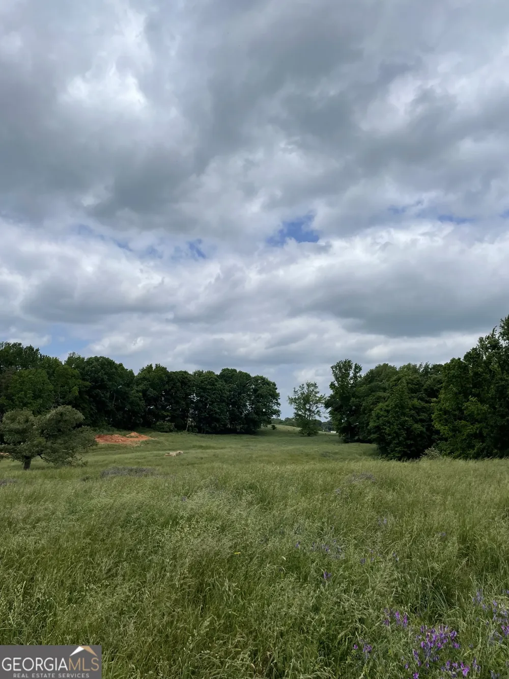 0 Quail Run RD Royston, GA 30662