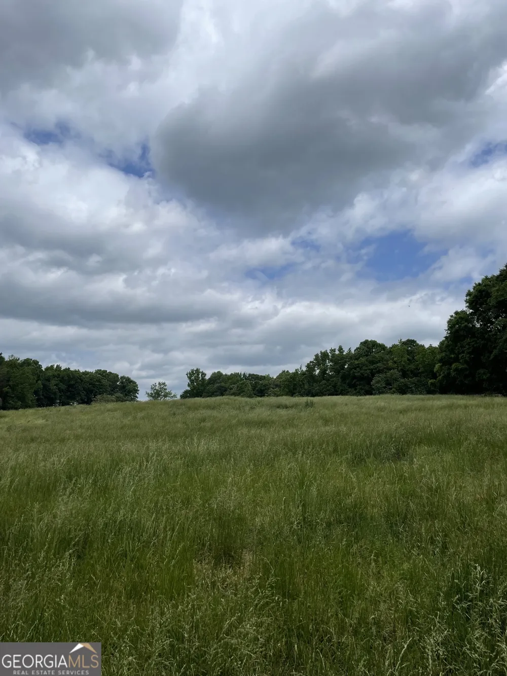 0 Quail Run RD Royston, GA 30662