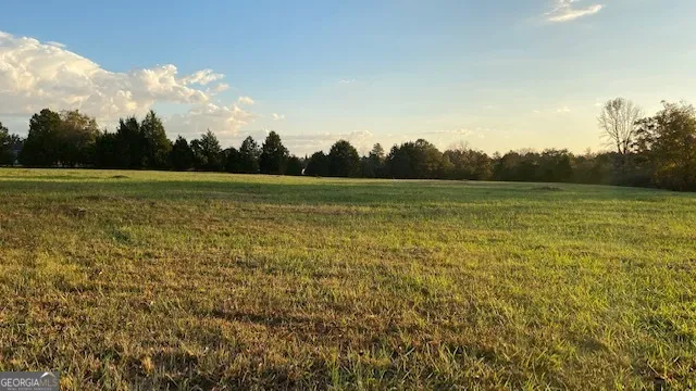 732 New Hope RD McDonough, GA 30252