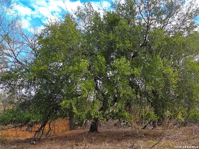 TBD Fm 471 Natalia, TX 78059
