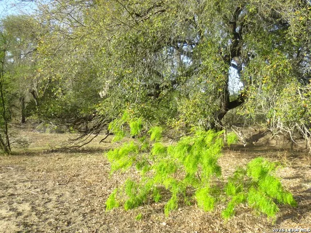 TBD Fm 471 Natalia, TX 78059