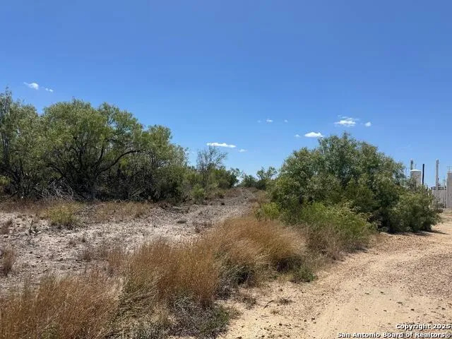985 Franklin Ranch Road Tilden, TX 78072