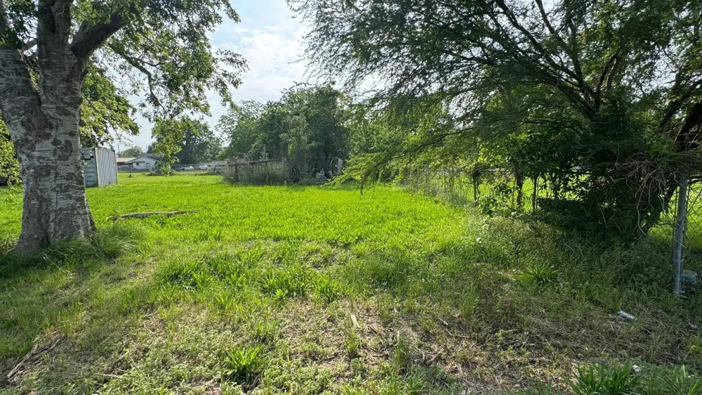 Sam Brookins Street Sugar Land, TX 77498