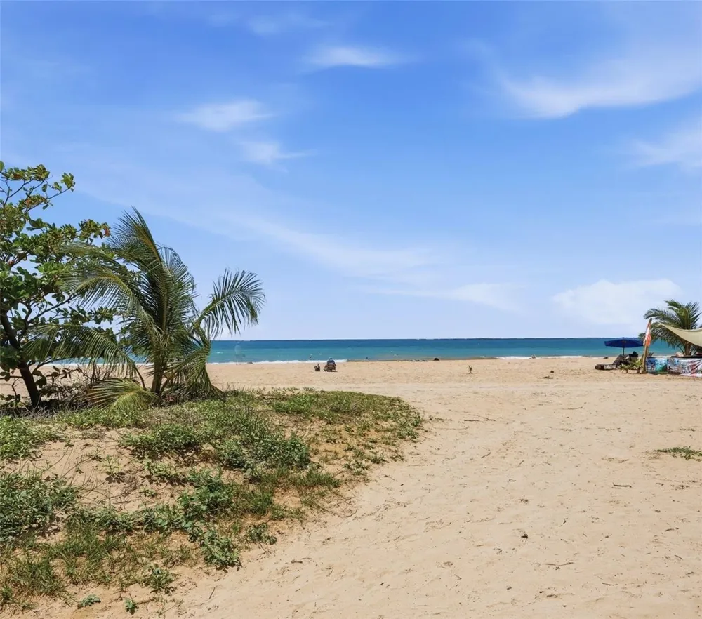 187 HORIZONTE #906 Carolina, PR 00979