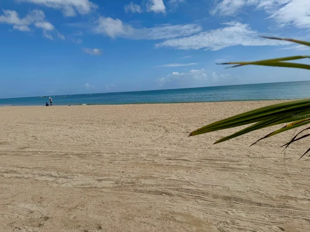 187 HORIZONTE #906 Carolina, PR 00979